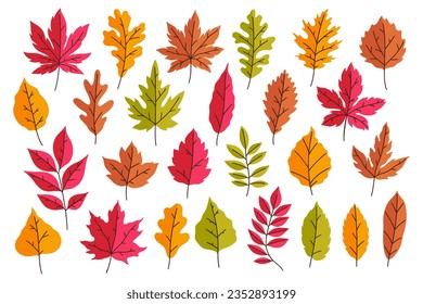 Collection of bright autumn leaves isolated on white background. Vector graphics.