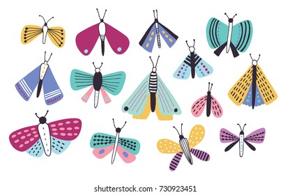 Collection of bright colored cartoon moths of different types and sizes isolated on white background. Nocturnal flying insects with beautiful wings, butterflies. Colorful vector illustration.