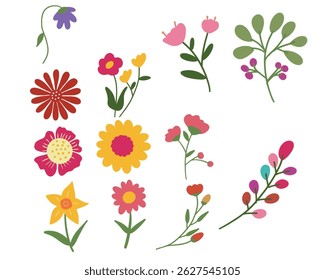 A collection of bright, colorful flowers set on a white background, showcasing their natural beauty