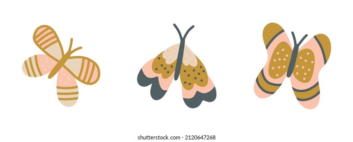 Collection of bright cute butterflies. Vector set