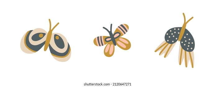 Colección de mariposas lindas y brillantes. Conjunto de vectores