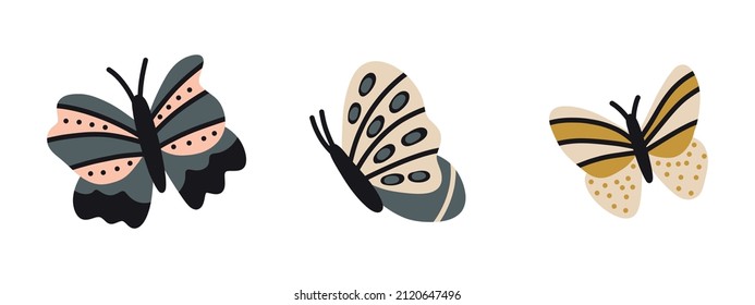 Colección de mariposas lindas y brillantes. Conjunto de vectores