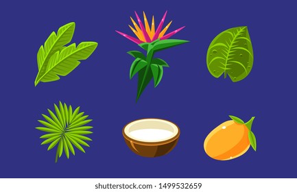 Collection of Bright Glossy Tropical Fruits, Flowers and Palm Leaves, Exotic Plants Vector Illustration