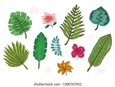 Collection of bright hand drawn colorful tropical flowers and leaves, exotic plants. Big vector set of floral elements for pattern design, greeting card decoration, logo