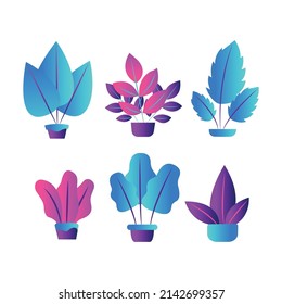 Collection of bright isolated plants in pots. Colorful flat illustration.