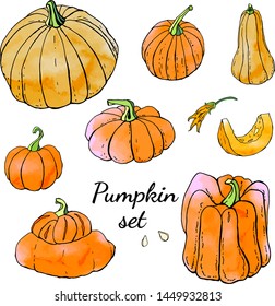 Collection of bright orange autumn pumpkin doodles. Fall harvest. Vector stock set. Cute icons with watercolor texture. Can be used for printed materials. Food background. Hand drawn design elements. 