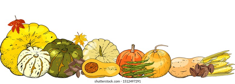 Collection of bright orange autumn pumpkin doodles. Fall harvest frame. Vector stock set. Cute cartoons. Halloween, thanksgiving. Food background. Hand drawn design elements. 
