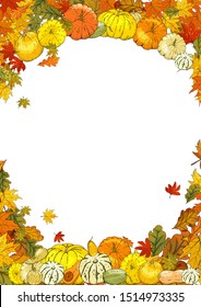 Collection of bright orange autumn pumpkin doodles. Fall harvest frame. Vector stock set. Cute cartoons. Halloween, thanksgiving. Food background. Hand drawn design poster. 