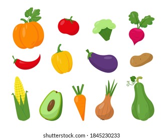 Collection of bright vegetables isolated on white background. Food vector illustration.