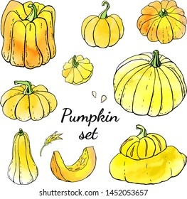 Collection of bright yellow autumn pumpkin doodles. Fall harvest. Vector stock set. Cute icons with watercolor texture. Can be used for printed materials. Food background. Hand drawn design elements. 