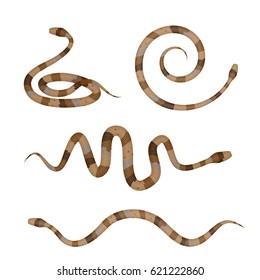 Collection of Brown Poisonous Snakes or Pythons Isolated on White Background. Vector illustration