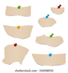 Collection - brown scraps of paper with pin