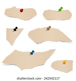 Collection - brown scraps of paper with pin