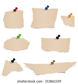 Collection - brown scraps of paper with pin