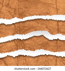Collection of brown torn Crumbled Textured Paper. Vector illustration