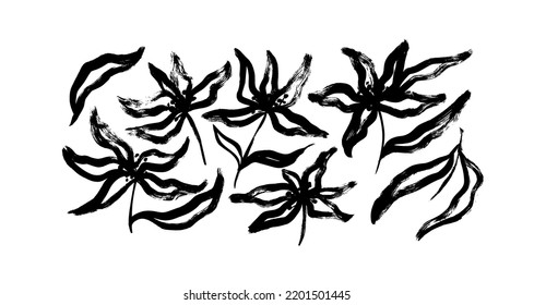 Collection of brush drawn lily flowers. Vintage floral elements with bold brush strokes. Hand drawn botanical ink illustration. Narcissus flower with stems and long leaves. Abstract buds and blossoms.