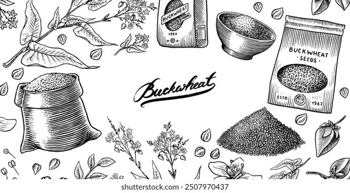  Colección de trigo sarraceno. Granos de plantas y trigo sarraceno grabados y dibujados a mano. Ilustración vectorial de conjunto de iconos de esquemas de cultivos de cereales de hierba. Tinta y estilo Clipart. Línea de dibujo a mano de la agricultura.
