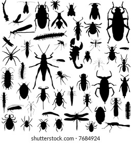 Collection of bug silhouettes in black and white