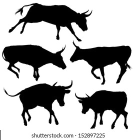 Collection of Bull Silhouette