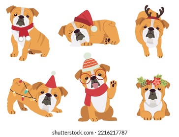 The collection of bulldog in many actions for Christmas theme. Graphic resource about bulldog for graphic, content, etc. 