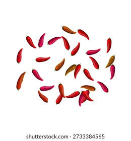 a collection of a bunch of hot red chilies without background