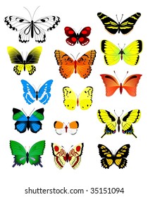 collection of butterflies