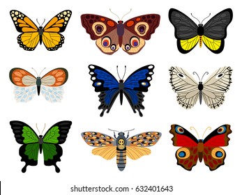 Collection of Butterflies