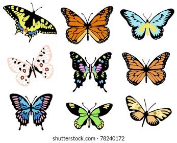 Collection of butterflies