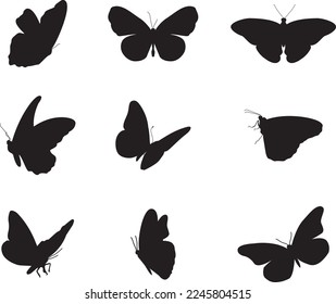 A collection of butterflies for artwork composition