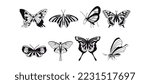 A collection of butterflies. Black and white flat drawing. Vector graphics. Vintage, stencil, tattoo, for print.