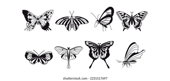 A collection of butterflies. Black and white flat drawing. Vector graphics. Vintage, stencil, tattoo, for print.