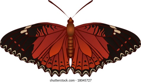Collection of butterflies: Cethosia Biblis