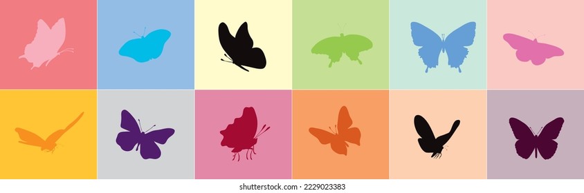 Collection of butterflies in colored frames. Symbol of nature and insect.