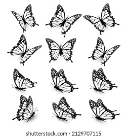 Six Butterflies Set Vector Stock Vector (Royalty Free) 364257044 ...