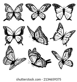 Collection of butterflies, flying in different directions. Butterfle silhouette. Vector.