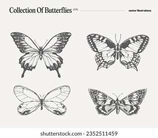 Collection of butterflies, hand drawn vector illustration, realistic drawing, sketch