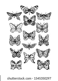Collection of butterflies and moths hand drawn vector sketch style black silhouette isolated on white background, naturalistic illustration in vintage style. 