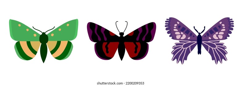 Collection of butterflies on a white background. Isolated cartoon icon set, decorative insect.