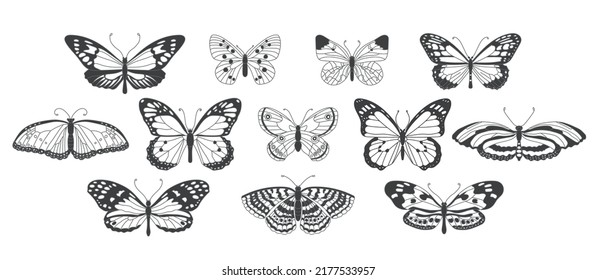 A collection of butterflies. Set of silhouettes of butterflies isolated on white background. Vector illustration.