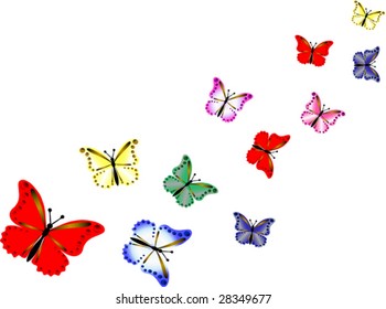 collection butterfly  colour isolated over white