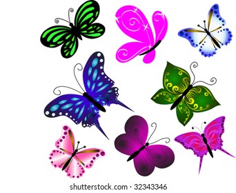 collection butterfly  colour isolated over white