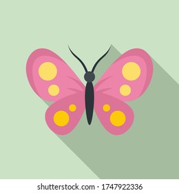 Collection butterfly icon. Flat illustration of collection butterfly vector icon for web design