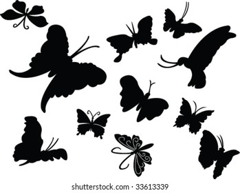 collection of butterfly silhouette - vector