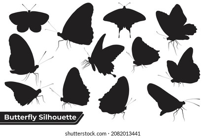 Colección de siluetas de mariposa en diferentes poses