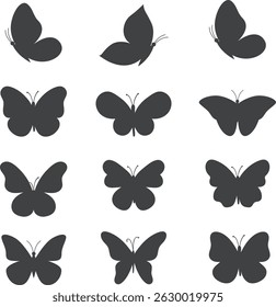 Coleção de borboleta vetor, ícone. Silhueta de borboleta.
