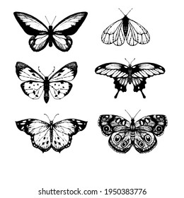 Collection butterflys for you design
