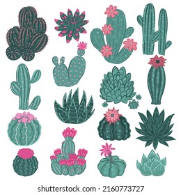 Collection of cacti isolated on white background. Vector graphics.