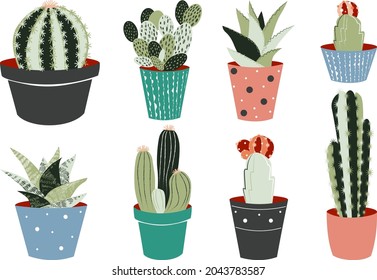 Collection of cacti and succulents 
