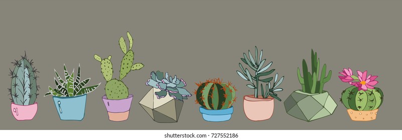 
collection of cacti and succulents in modern pots