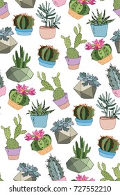 Collection of cacti and succulents in modern pots